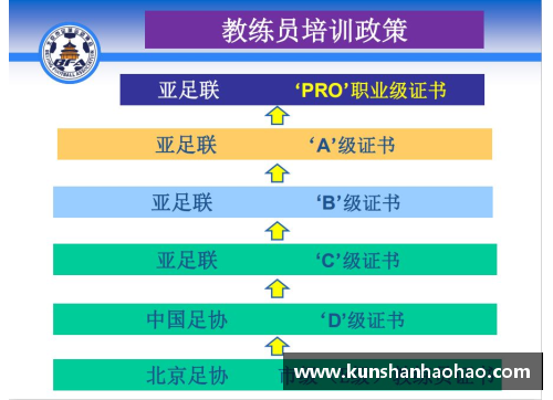 职业足球教练证书申请流程与要求解析